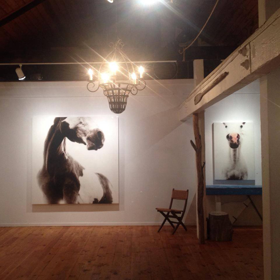 Installation view, Outeast Gallery. 