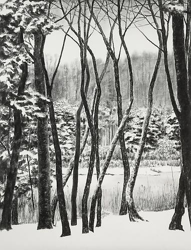 "Snow- Stillness" by April Gornik, 2014-. Charcoal on paper, 50 x 38 inches.