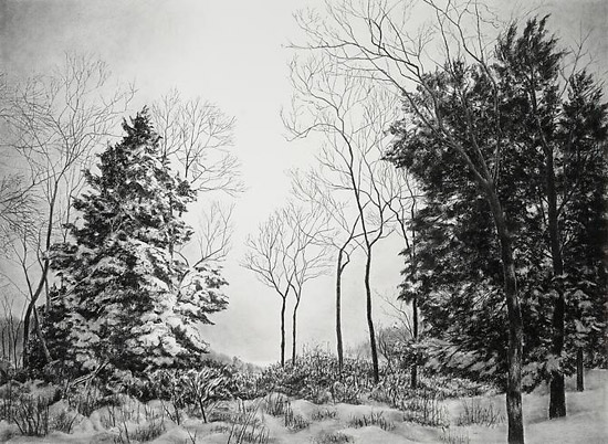 "Winter Light" by April Gornick, 2014. Charcoal on paper, 30.5 x 50 inches.
