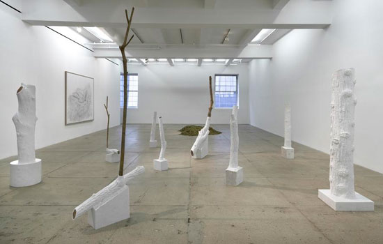 Installation view of "Giuseppe Penone" at Marian Goodman Gallery. 