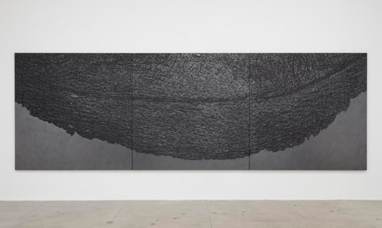 “Pelle Di Grafite - Palpebra (Skin of Graphite - Eyelid)” by Giuseppe Penone, 2012. Graphite on black canvas, 78 3/4 x 236 1/4 inches overall. 