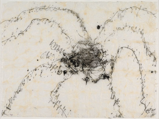 "Spider" by Joe Zucker, 1991. Acrylic on Japanese Rice Paper, 17 3/4 x 24 inches. Parrish Art Museum, Water Mill, New York, Gift of Julia Childs Augur, 2014.10.5. 