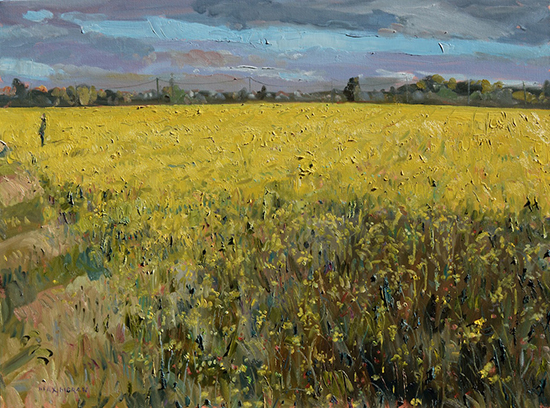 "In the Mustard Field" by Max Moran. 