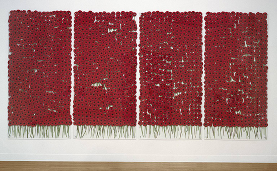 "preserve ‘beauty’" by Anya Gallaccio, 1991-2003. 2000 gerberas, glass, metal and rubber. Photo courtesy of the Tate Museum.