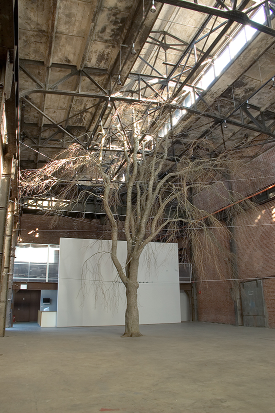 "One art" by Anya Gallaccio, 2006. Weeping cherry tree, seed49 ft tree cut in 8 ft sections; reassembled w bolts and stainless steel tension cable. Sculpture Center, New York. 