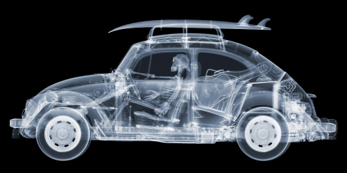 "California Bug" by Nick Veasey. C-Type X-Ray Photographic Print 42.5 x 85 inches. 