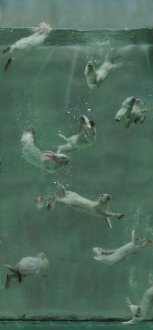 "Aquarium" by ZHOU HONGBIN.