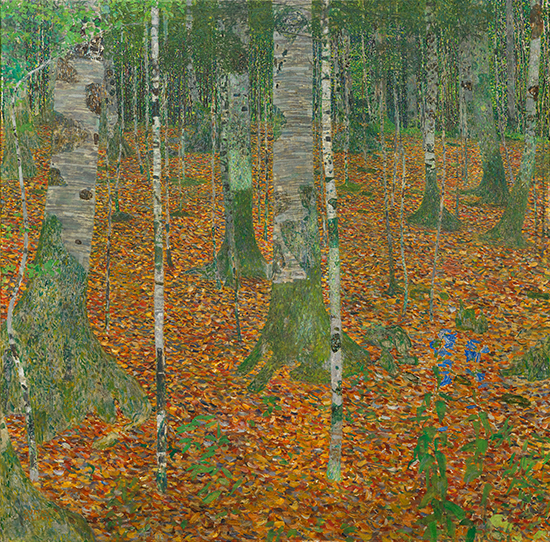 "Birch Forest" by Gustav Klimt, 1903. Oil on canvas, 42 1/4 x 42 1/4 inches. Paul G. Allen Family Collection. 