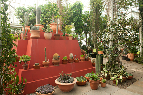 Artist Andrea Arroyo will create the "Ofrenda" altar to Frida Kahlo on the scale version of the pyramid designed by Diego Rivera that still stands in the garden at the Casa Azul. Photo by Ivo M. Vermeulen. Courtesy New York Botanical Garden.