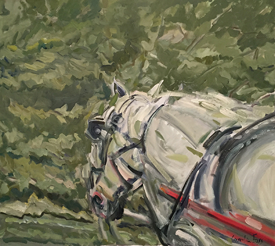 "Central Park White Carriage Horse" by Cornelia Foss, 2015. Oil on canvas. 