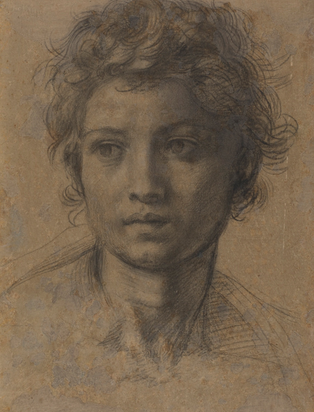 "Study for the Head of Saint John the Baptist" by Andrea del Sarto (1486–1530), ca. 1523. Black chalk, 13 x 9 1/8 inches. National Gallery of Art, Washington, D.C., Woodner Collection.