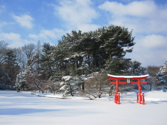 Japanese Hill-and-Pond Garden in winter. Photo: Rebecca Bullene, courtesy of BBG.