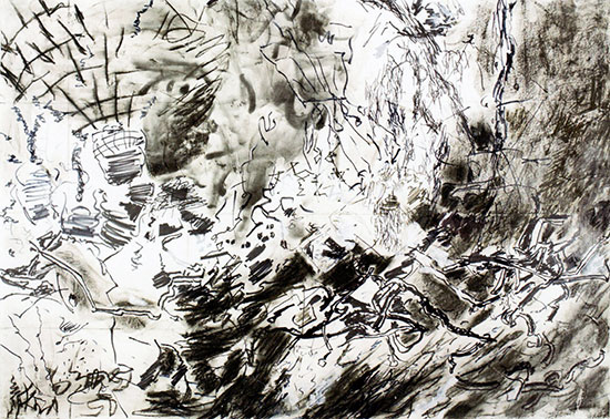 "Weeds 9" by Connie Fox, 2010. Charcoal, ink, acrylic on paper, 30 1/4 x 44 inches.