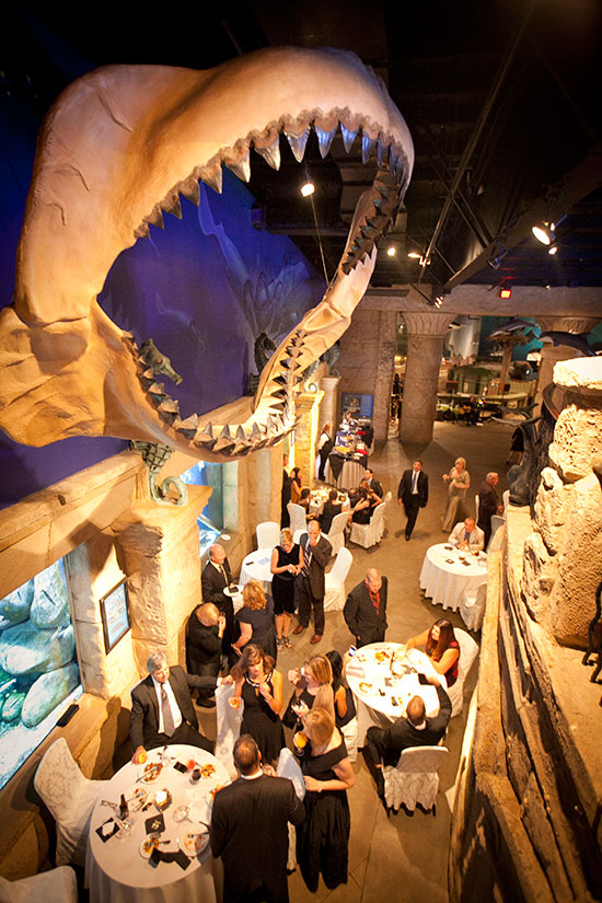 Atlantis Banquets and Events Cocktail Hour at the Long Island Aquarium. 