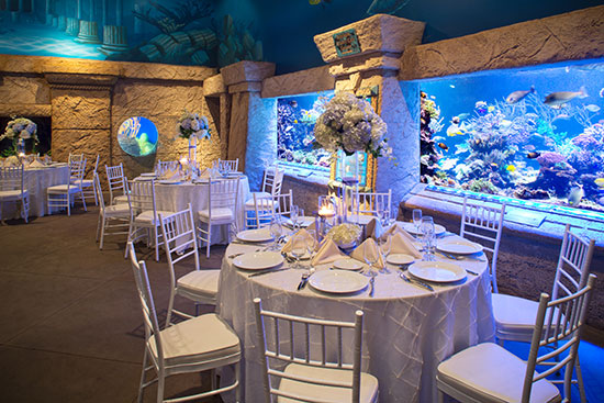 Atlantis Banquets and Events at the Long Island Aquarium. 