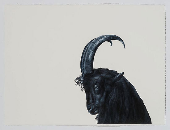 "Billy Goat (after Bonheur)" by Shelley Reed, 2016. Oil on paper, 22.5 x 30 inches.