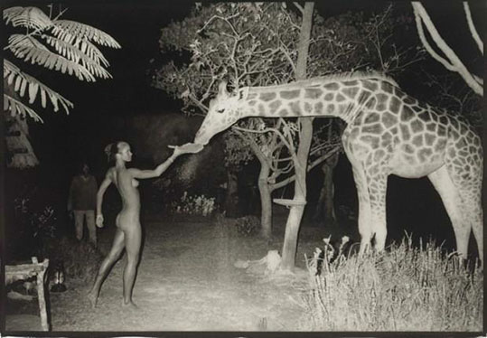 "Maureen Gallagher feeding a giraffe at 2:00 am" by Peter Beard, 1987. Photograph. (Not exhibited at Guild Hall).