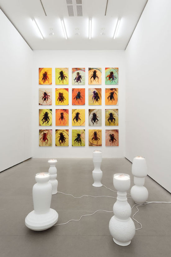 At the Galerie Eigen, Rémy Markowitsch's installation explores the fighting cricket culture of old Shanghai.
