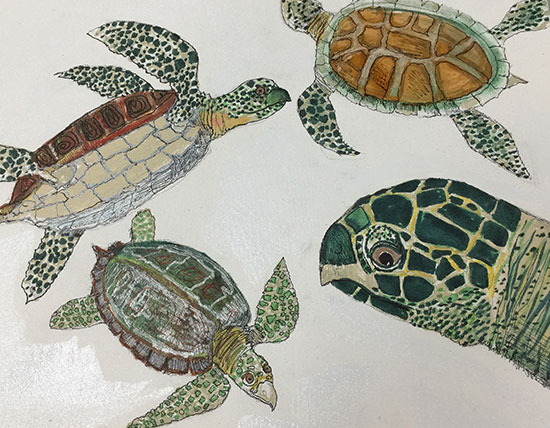 "Turtles" by Diane Marx. Courtesy of The White Room Gallery.