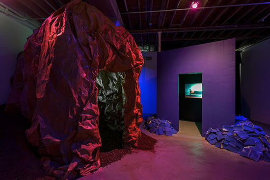"The Comet and the Glacier" by Alexis Gideon, Installed at Locust Projects. Courtesy of Locust Projects. 