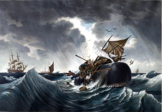"The Sperm Whale in a Flurry" from "The Whale Fishery" by Louis Ambroise Garneray. Oil on canvas. Courtesy of the Southampton Historical Museum.
