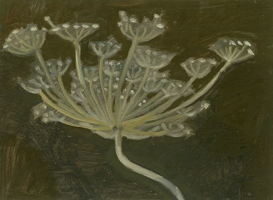 "Queen Anne's Lace" by Lois Dodd, 2018. Oil on aluminum flashing, 5 x 7 inches. (LD 18.27). Courtesy Alexandre Gallery.