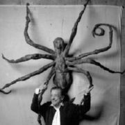 Film still from Louise Bourgeois: The Spider, the Mistress and the Tangerine. Courtesy Zeitgeist Films and the Parrish Art Museum.