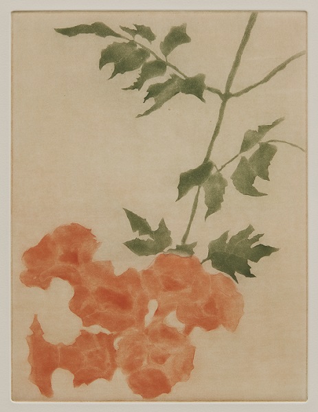 "Trumpet Vine" by Nina Gillman, 2019. Aquatint etching, 1/15 varied edition, 12 x 9 inches. Courtesy of the artist.